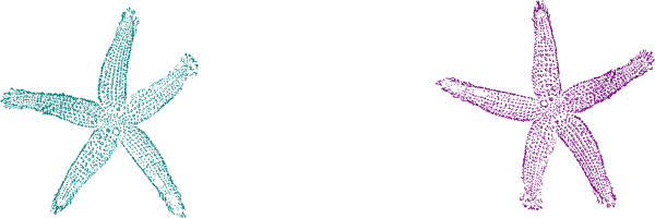 Purple And Teal Starfish Clipart - Private Listing For Pam 2 Pair Custom Angela Style (600x200)