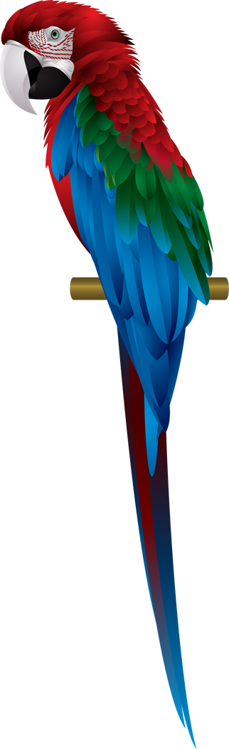 Parrot Clipart Scarlet Macaw - Red-and-green Macaw (322x1050)
