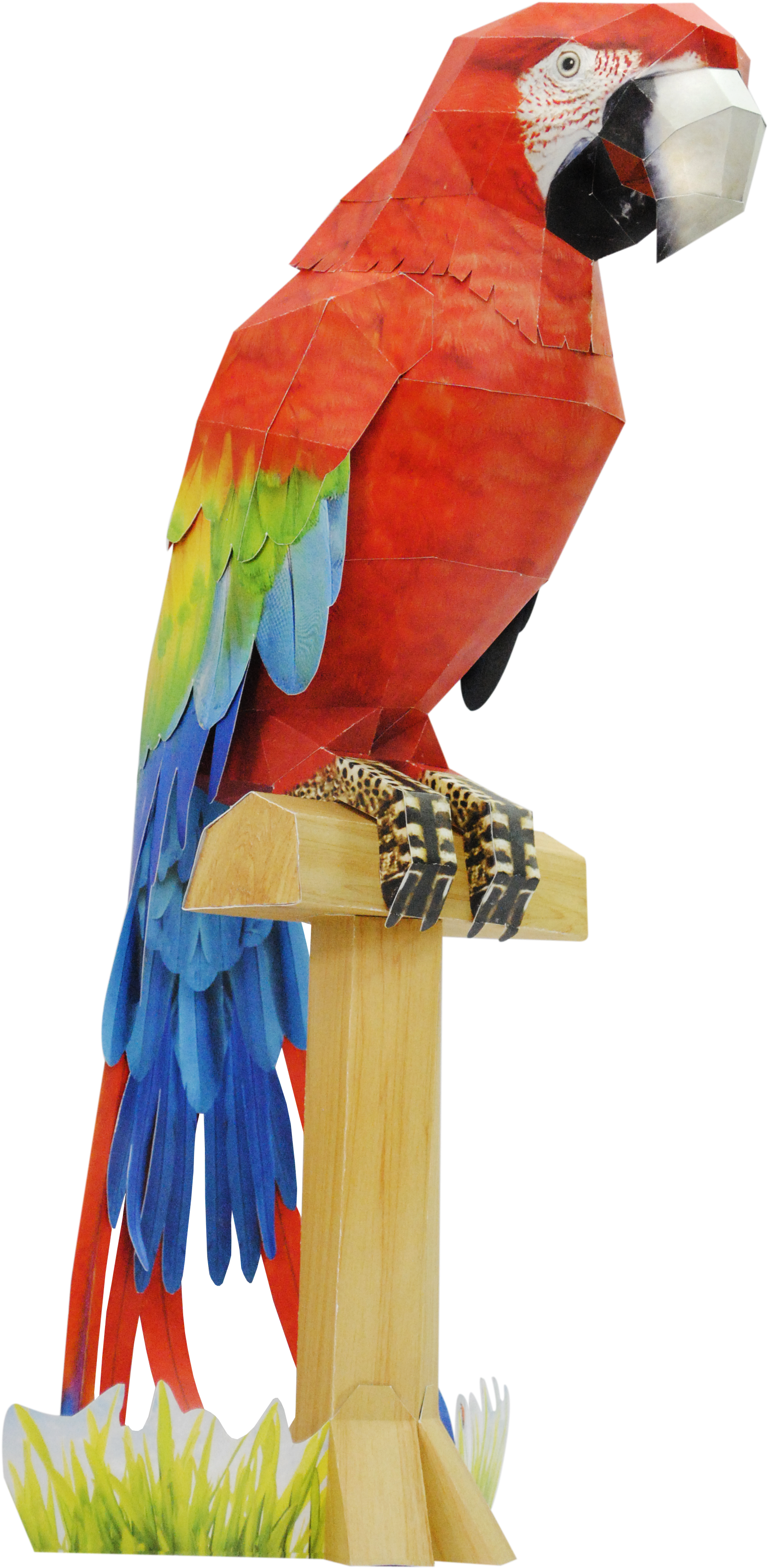 The Scarlet Macaw In Paper By Happy Www Happypapertoy - The Scarlet Macaw In Paper By Happy Www Happypapertoy (2592x3872)
