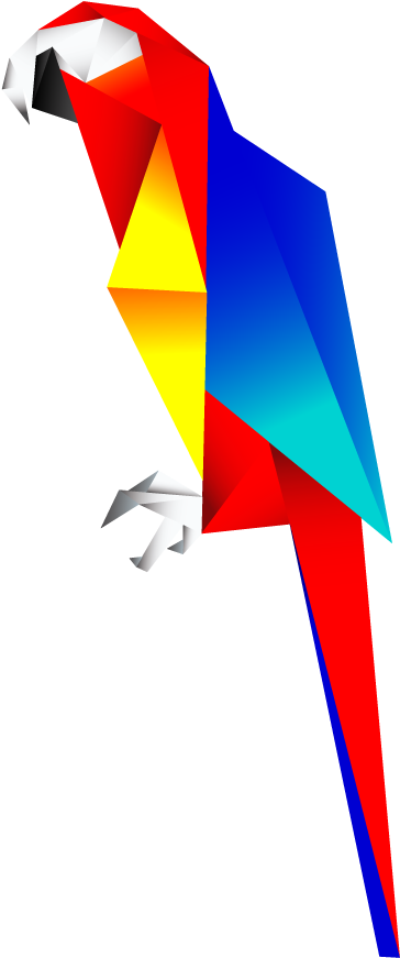 Scarlet Macaw - Scarlet Macaw Illustration (840x940)