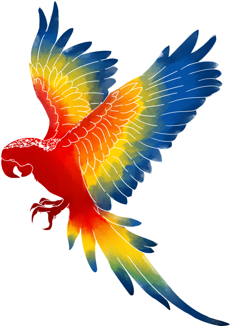 Macaw - Brazilian Macaw Parrot (1024x1131)