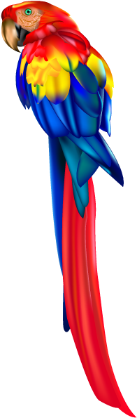 Parrot Bird Macaw Clip Art - Guacamaya Colombiana Png (592x840)