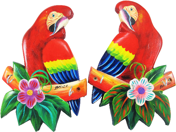 Scarlet Macaw (620x549)