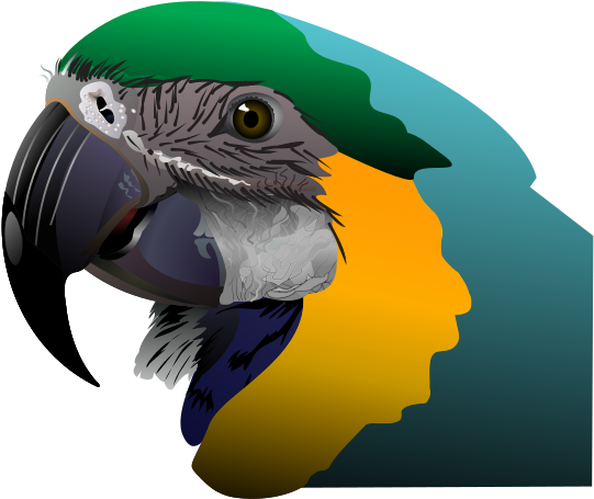 Toucan Clipart Macaw - Cafepress Parrot Iphone 7 Plus Tough Case (674x530)