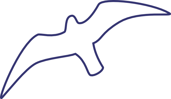 Seagull Outline Line Drawing Clip Art - Draw A Seagull Easy (600x348)