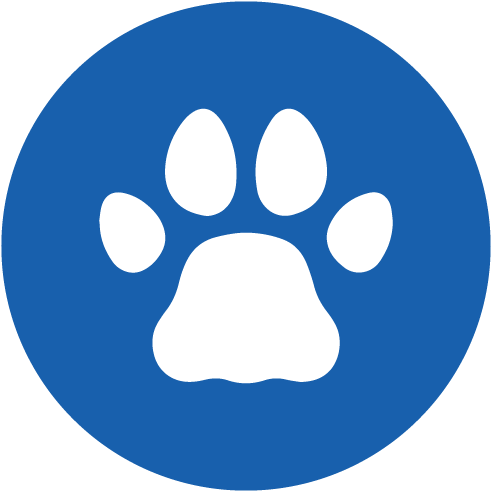 Dog Friendly - Portrait Of A Man (500x500)