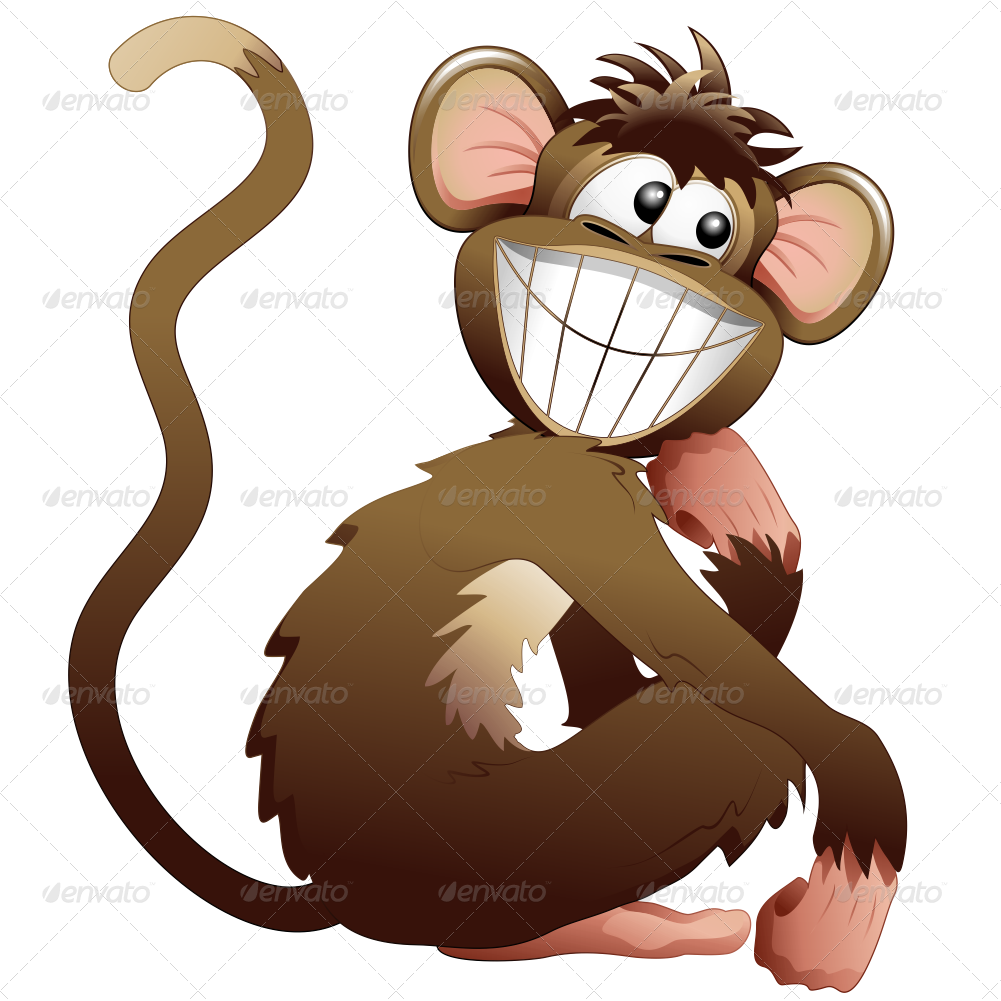 2 Png 1000 Toucan Png 1000 Zebra Png 1000 B Wild Animals - Cartoon Wild Animals Png (1001x1001)
