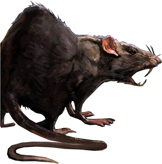 Rats - Rat Dnd (561x568)