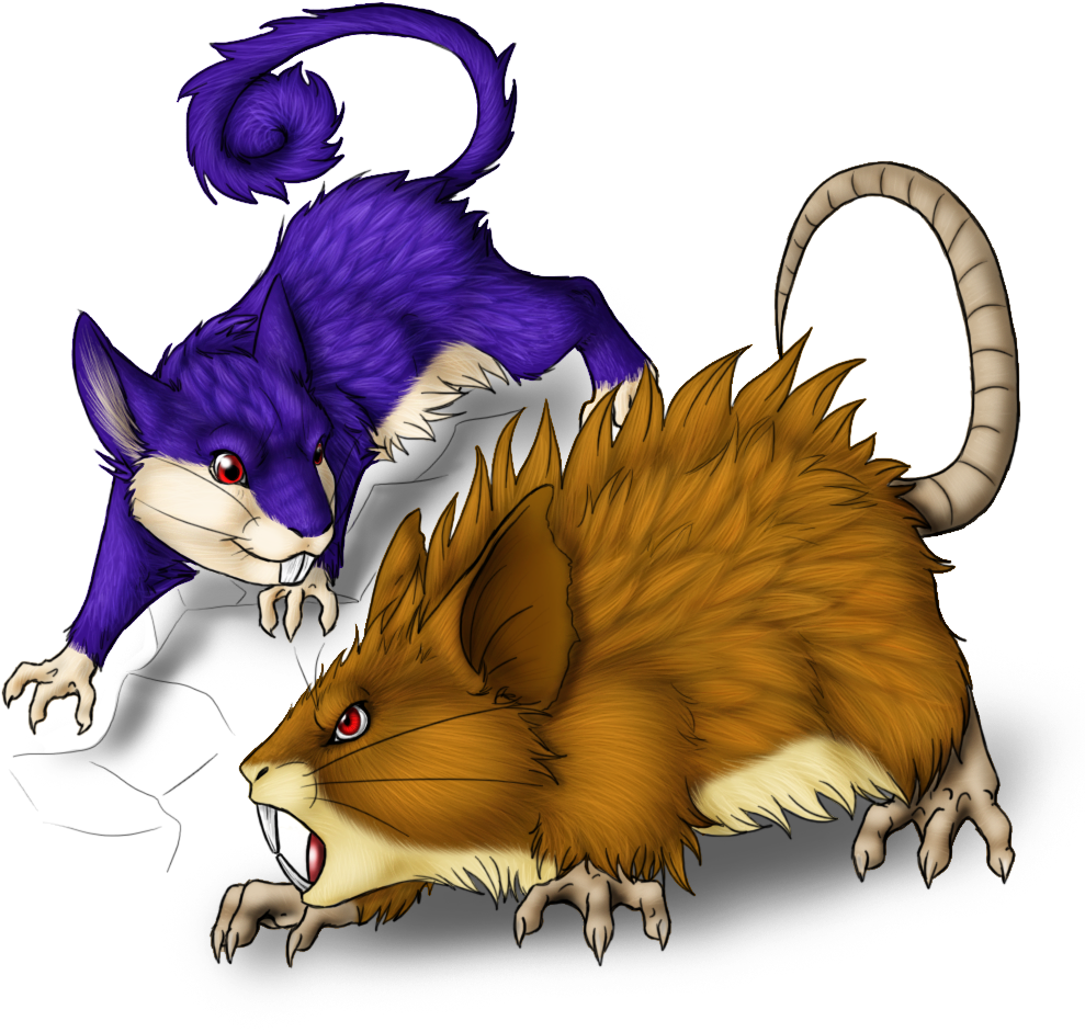 Rattata And Evo By Afrozenheart2 - Does Rattata Evolve Into (1000x1000)