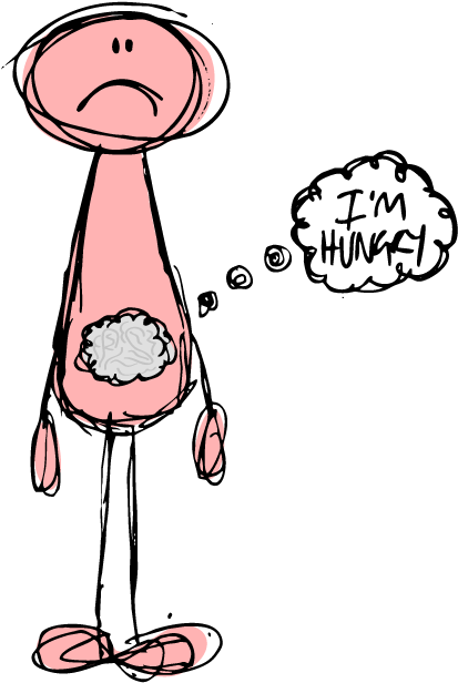 During Fetal Development, From Tissues Called The Neural - Brain In The Stomach (444x662)