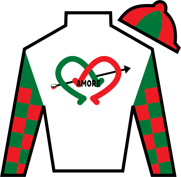 Firenze Fire Mr - 2018 Kentucky Derby Silks (720x702)