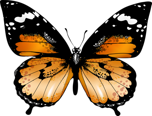 Kelebek Png Resimleri Butterfly Png - Butterflies And Moths (500x382)