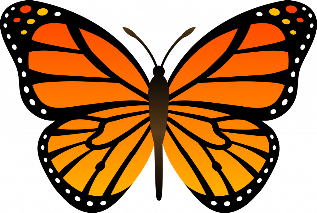 Happy Picture Of A Cartoon Butterfly Png Mart - Butterfly Clip Art (1024x689)