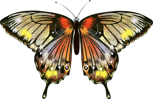 Png Kelebek Görselleri Butterfly Png - Butterfly (500x324)