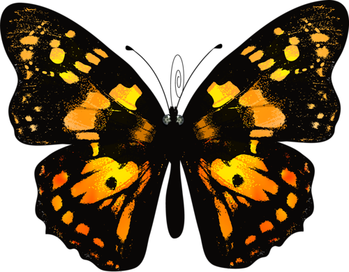 Kelebek Png Resimleri Butterfly Png - Vanessa Cardui (500x390)
