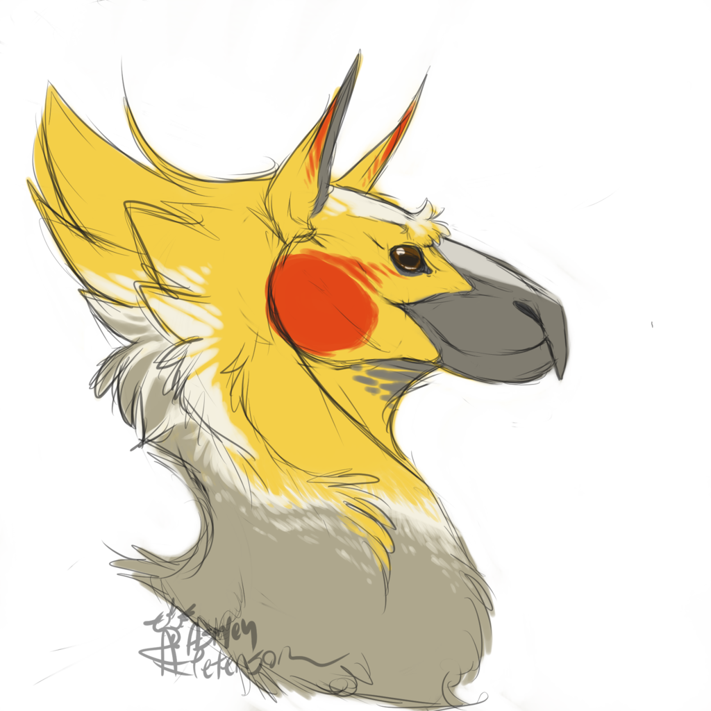 Cockatiel Hippogriff -head Shot By Mantiscat - Drawing Cockatiels (1024x1024)