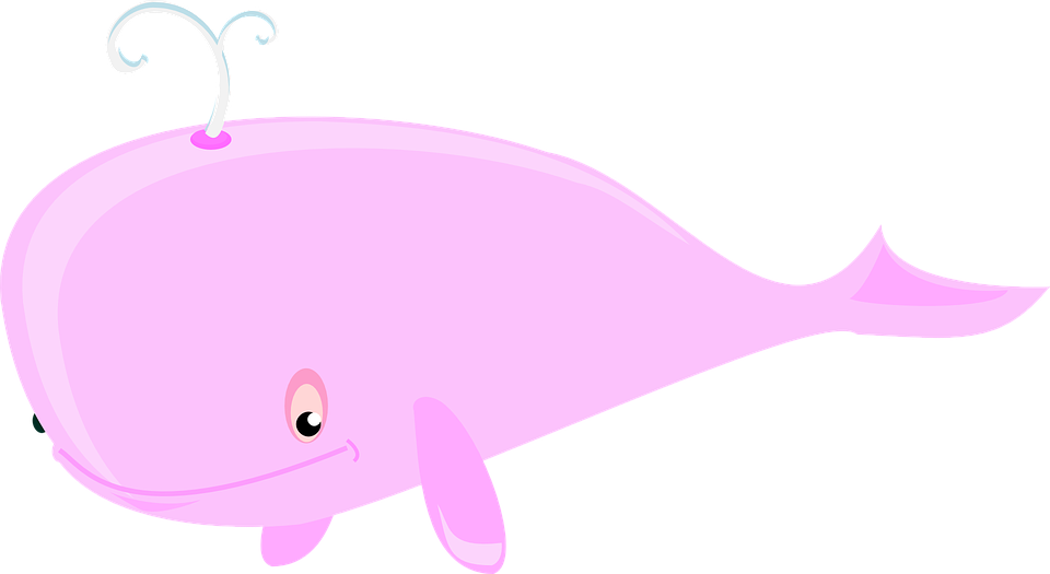 Cartoon Whale Png 3, Buy Clip Art - Baleia Cor De Rosa (960x525)