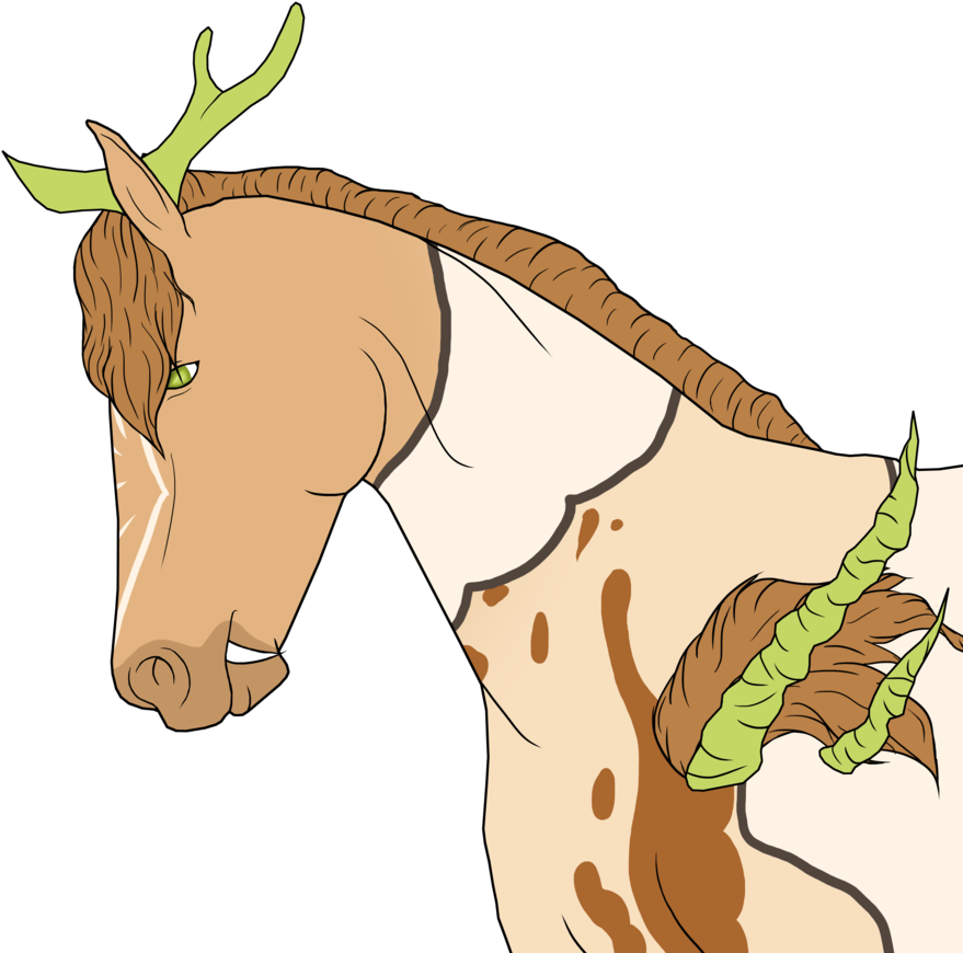 Head Shot - Head Shot 2 (904x884)