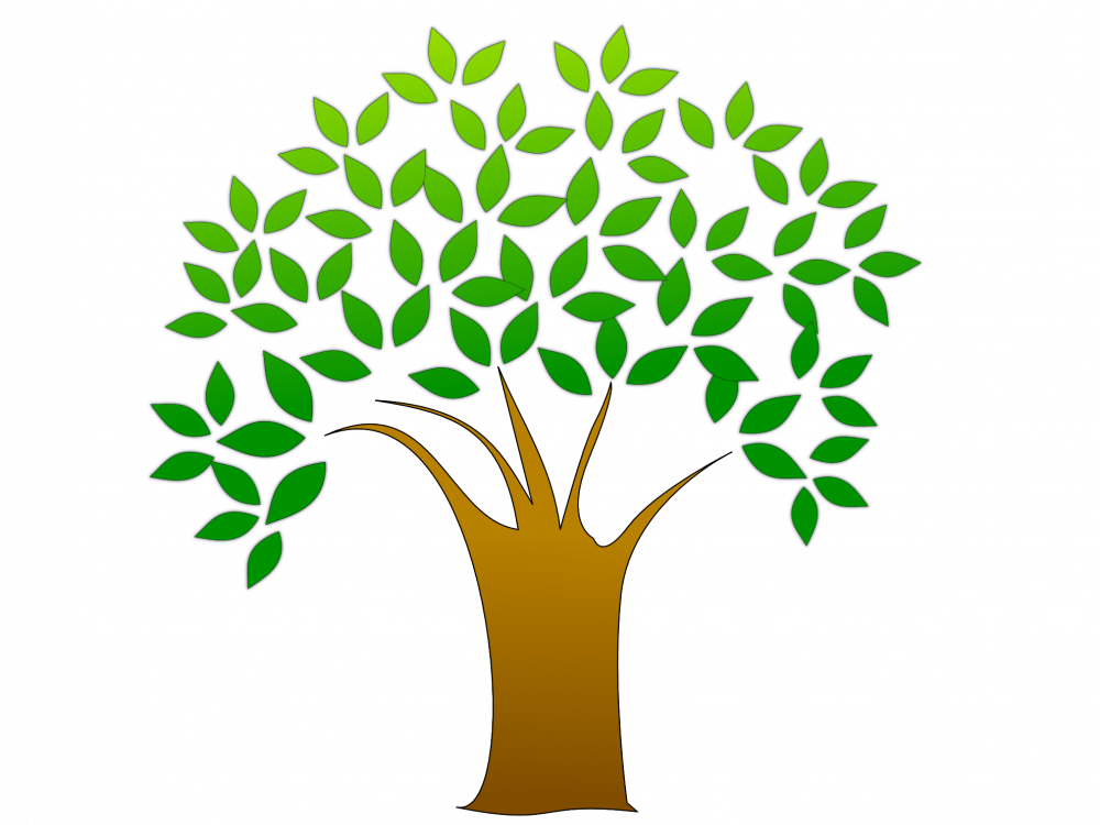 Clean Up Day Tree - Tree Image Clip Art (1000x750)