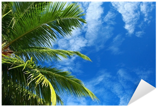 Vinilo Pixerstick Palmera Verde Sobre El Cielo Azul - Roystonea (400x400)
