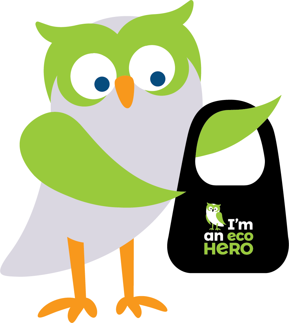 Be An Eco Hero By Using Reusable Bags - Be An Eco Hero By Using Reusable Bags (923x1034)