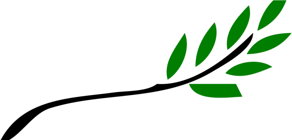 Olive Branch Free Clip Art (1000x453)