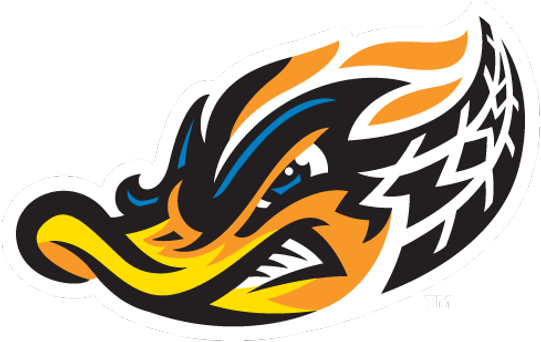Valued Partners To Sjb - Akron Rubber Ducks Logo (550x349)