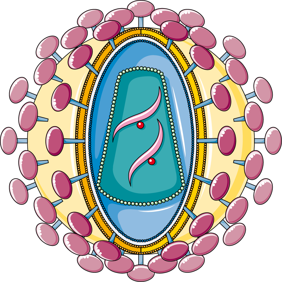 Hiv - Smart Servier Medical Art Hiv (968x968)