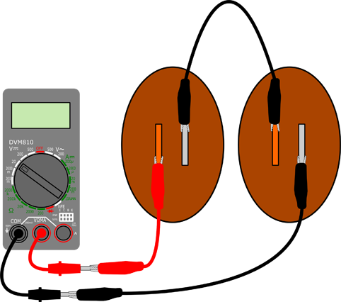 2 Potato Batteries In Series Veggie Power 2 In Series - Electric Current With A Fruit Or Vegetable Diagram (482x426)