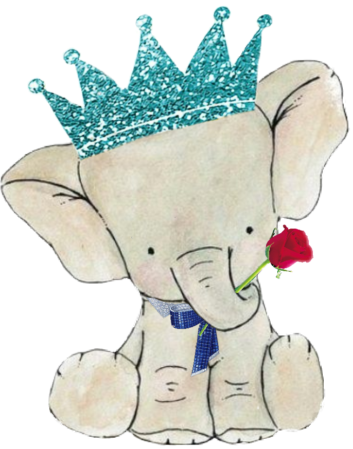 56 X72 Baby Elephant With Flowers Crown Giftwrap Cabin - Picsart Elephant Family (686x874)