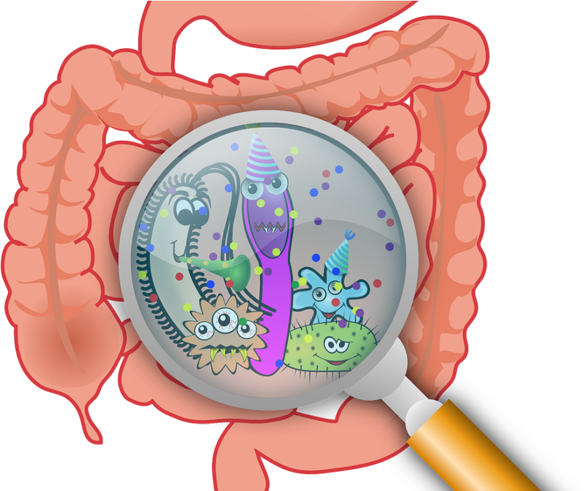 What Is It How Can It Be Stopped - Essential Handbook To A Healthy Gut (900x714)