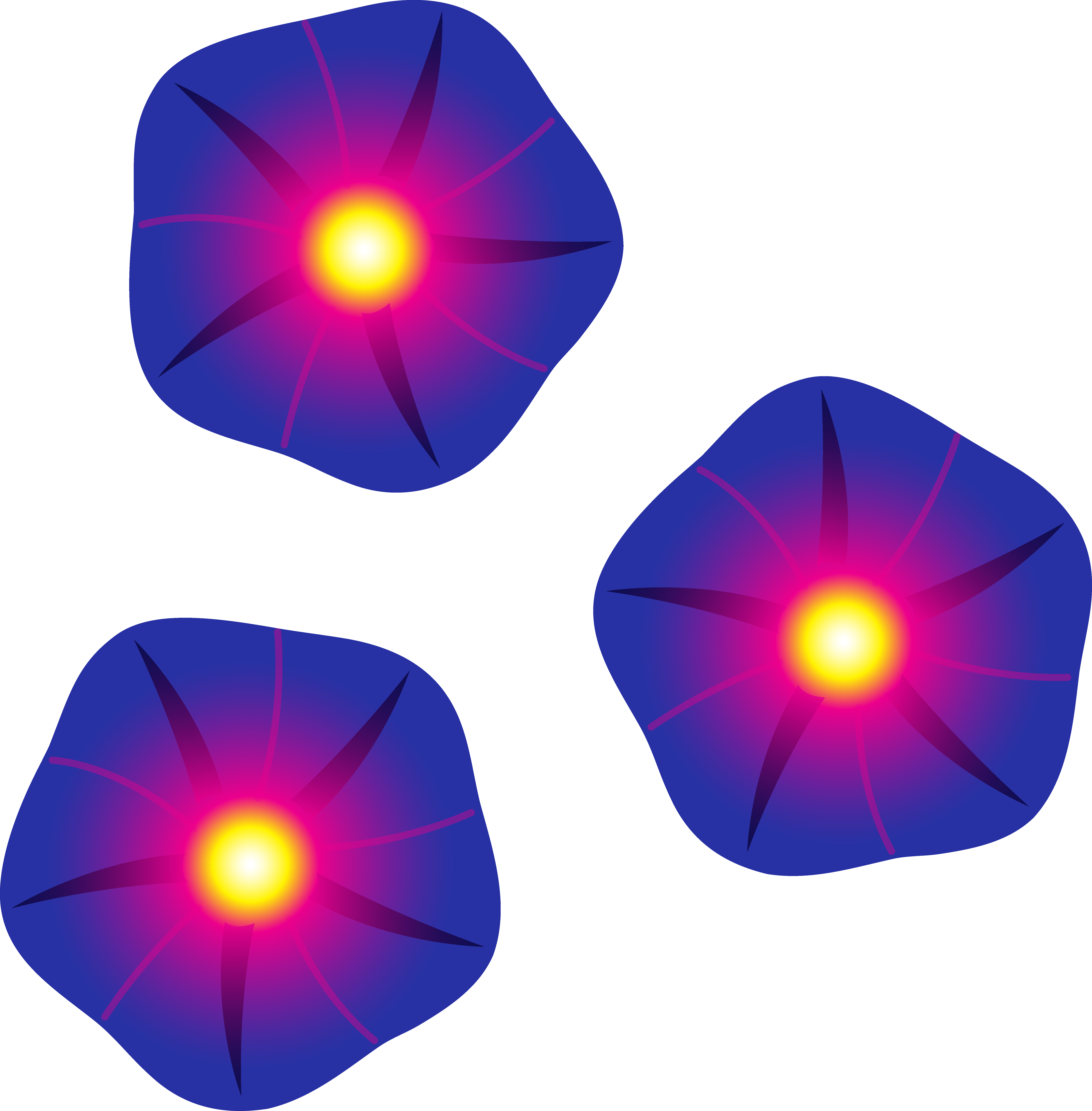 Morning Glory Flower Clipart - Morning Glory Cartoon Flower (6476x6586)