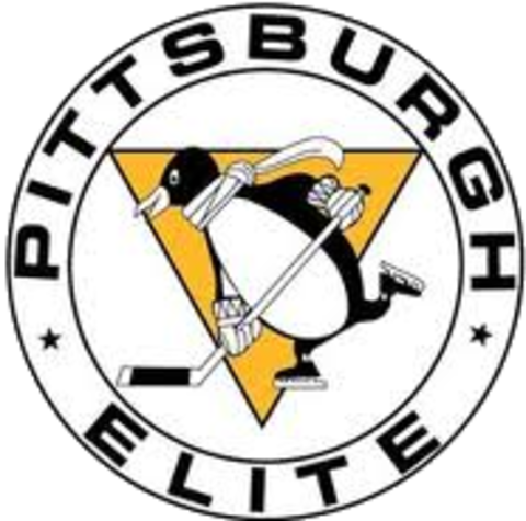 Pittsburgh Penguins Elite Logo - Pittsburgh Penguins Winter Classic 2011 (480x475)