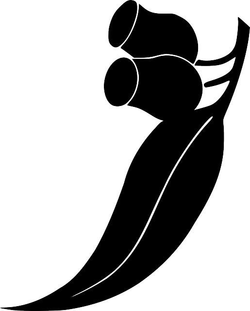 Sketch Flat, Icon, Berries, Outline, Drawing, Sketch - Gum Leaf Clip Art (515x640)