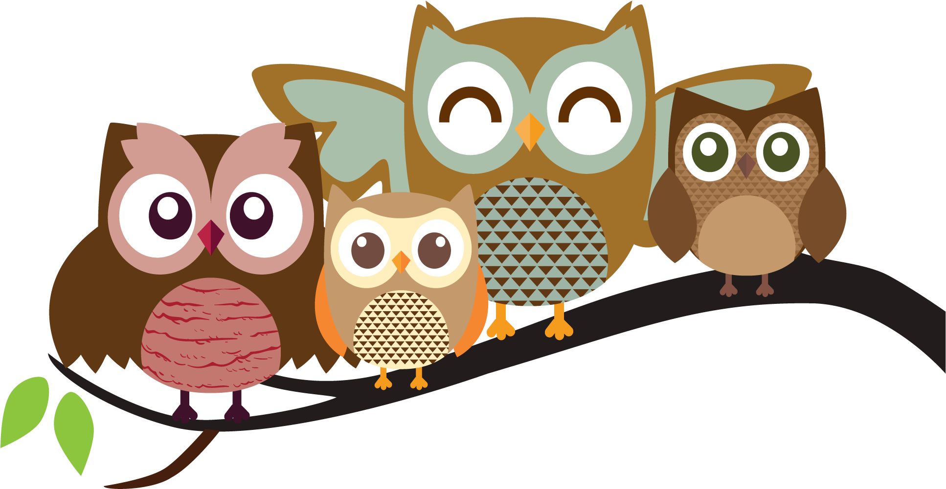 Animated Owl Pictures - Cartoon Owls Png (2000x1064)
