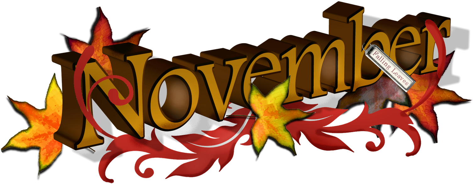 Fireworks Clipart November - Clip Art (1600x640)