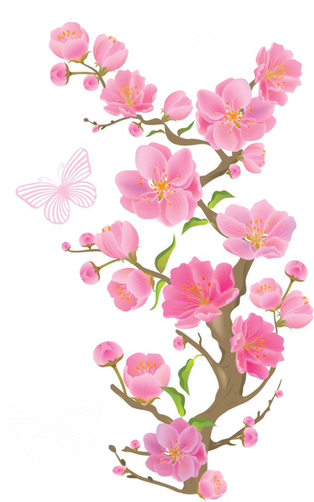 Spring Branch With Butterflies Png Clipart Picture - Cherry Blossom Clip Art Png (726x1024)