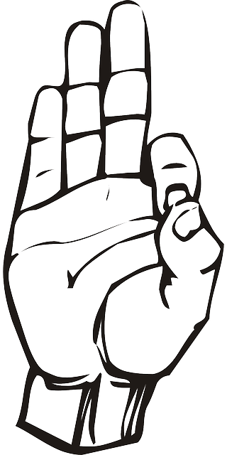 Outline, Hand, Speech, Language, Talk - F In Sign Language (320x640)