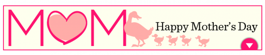 Mothers Day Gifts Ideas - Boss's Day Female (900x350)