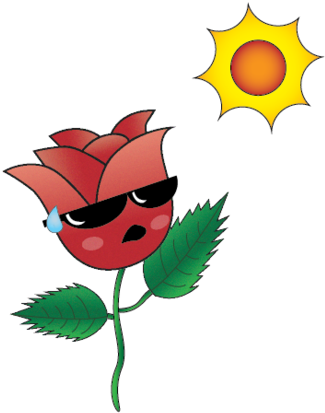 Do Not Expose Me To Direct Sunlight - Cartoon (336x480)