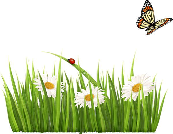 Tubes Fleurs - てんとう 虫 花 イラスト (600x465)