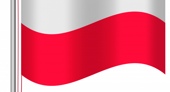 Pictures Of The Polish Flag - Illustration (570x310)