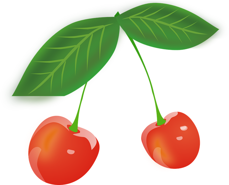 Different Leaves Clipart 15, Buy Clip Art - Gambar Buah Cherry Merah (878x720)