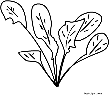 Free Black And White Spinach Clipart - Clip Art (450x450)
