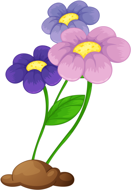 Яндекс - Фотки - Цветы Мульт Png (555x800)