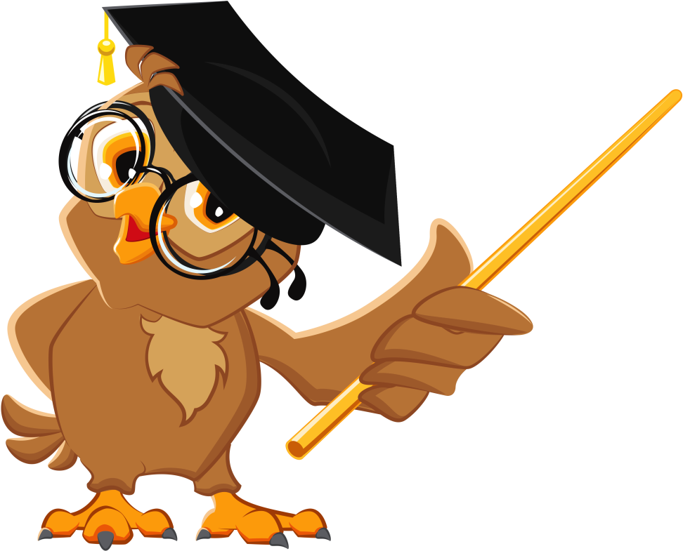 Owl Education Teacher Illustration - Teacher Owl Clip Art (1024x867)