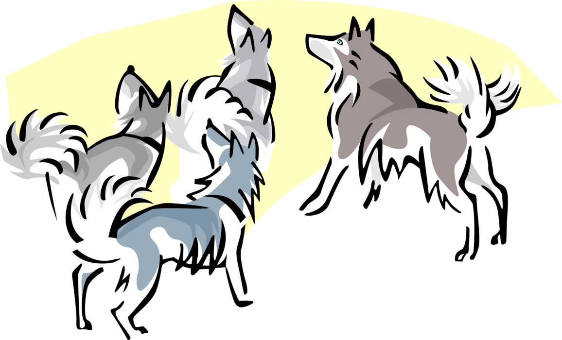 Vector Illustration Of Timber Wolves Howling At Moon - Dog Catches Something (1156x700)