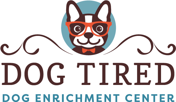 Dog Tired Charleston Sc (599x340)