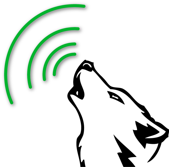 Minnesota Timberwolves (591x585)