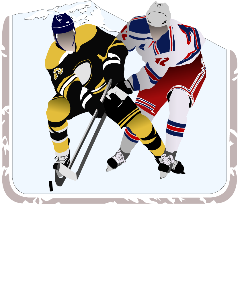 Seeley Lake Pond Hockey Ale - Advanced Technical Devices In Sports [book] (1000x1100)